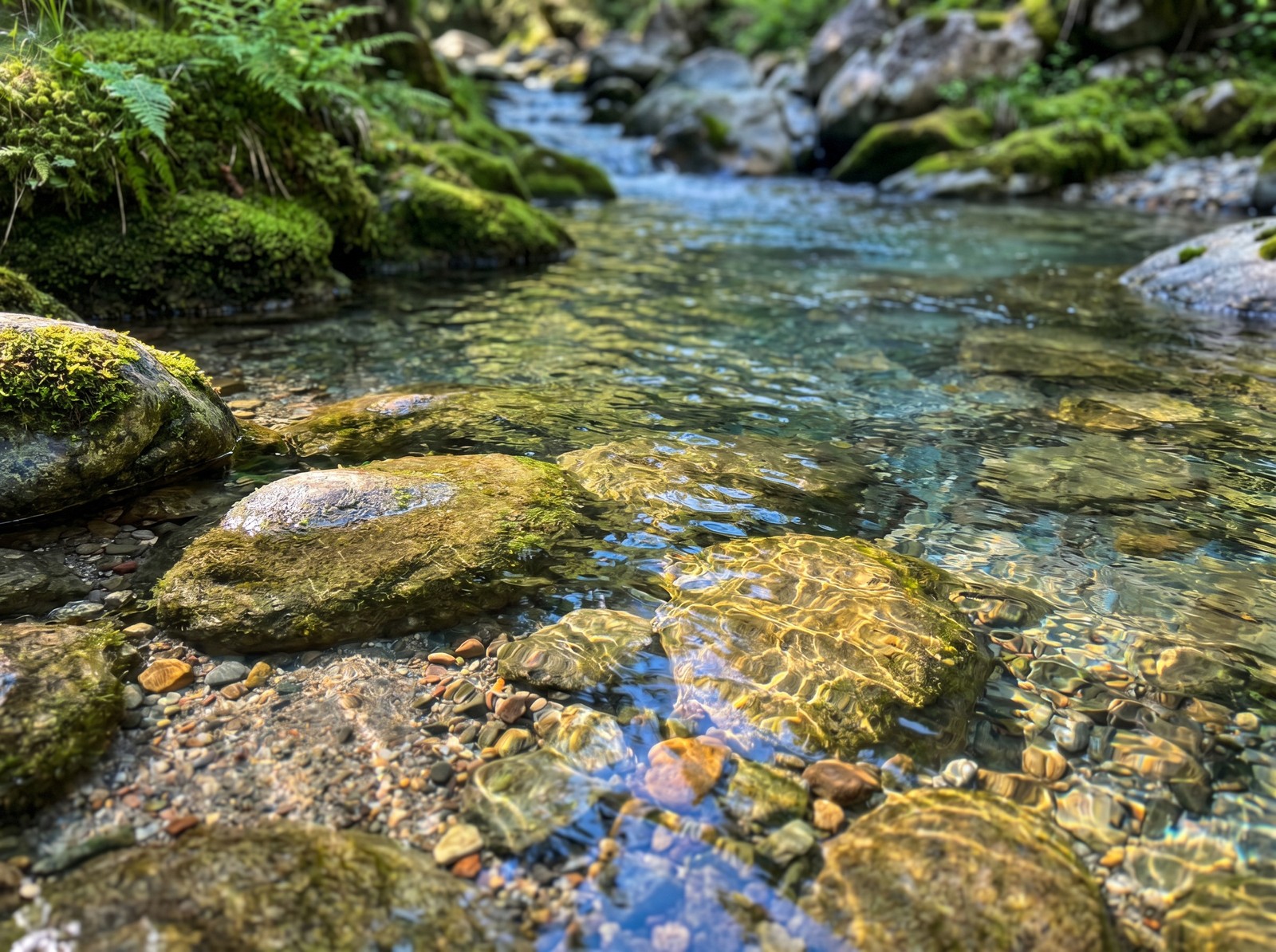 Crystal clear stream